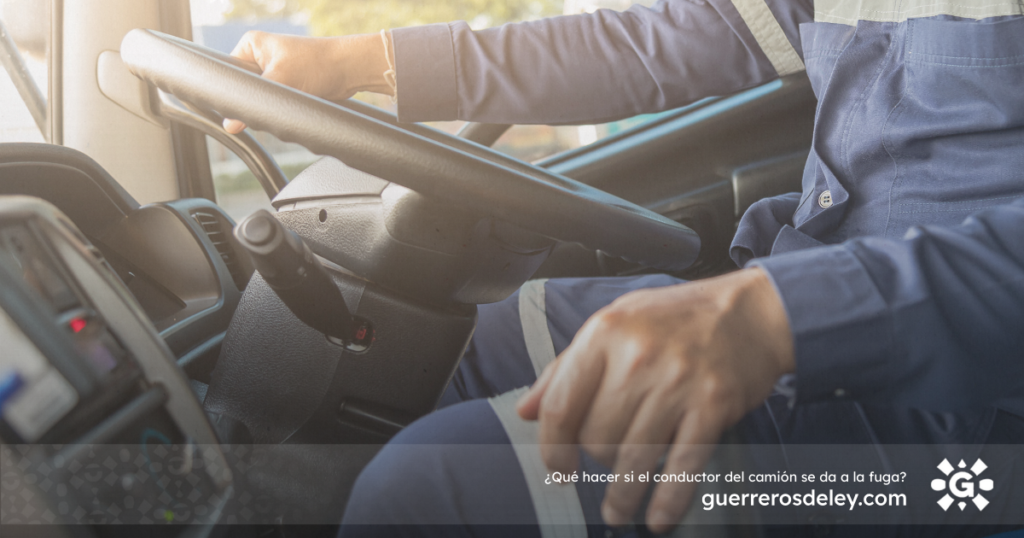 Conductor de camión al volante